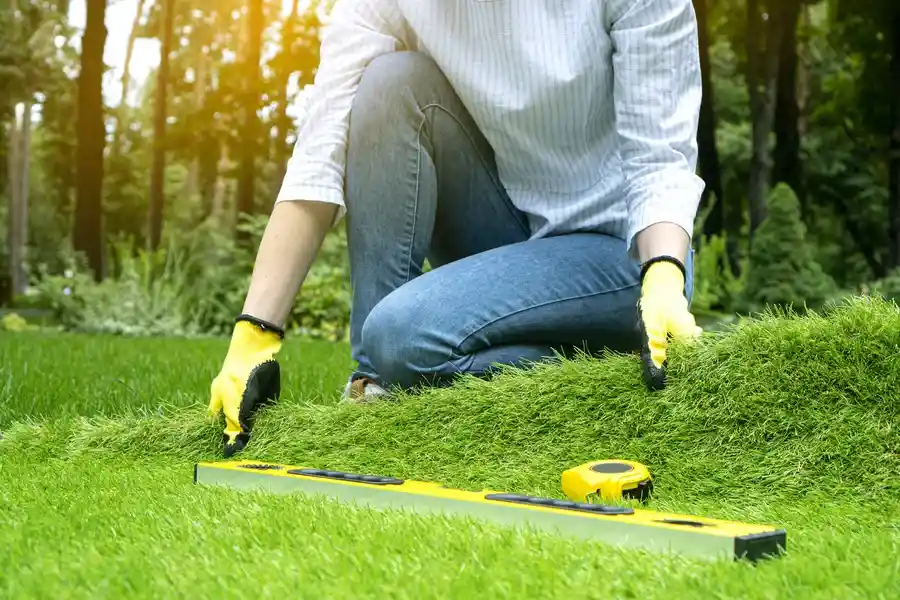 Experienced Artificial Turf Installation Lubbock, TX Experienced Artificial Turf Installation Lubbock, TX