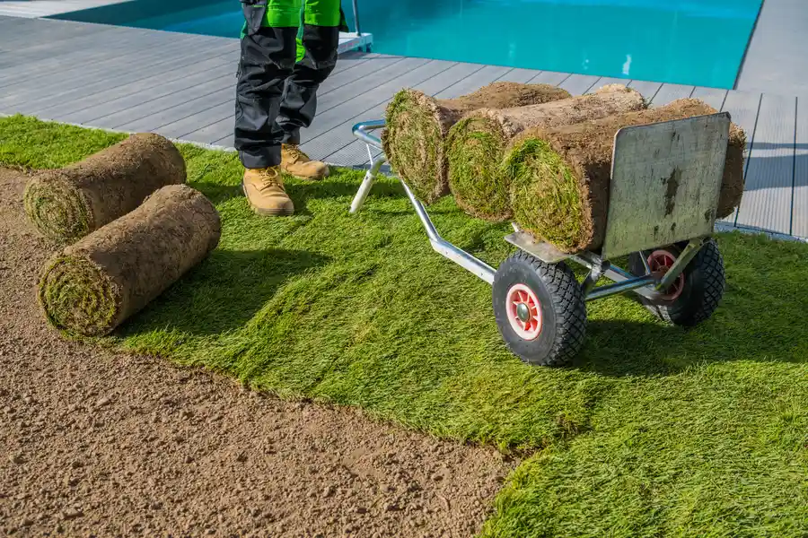 How Sod Installation Can Improve Your Propertys Value Lubbock, TX How Sod Installation Can Improve Your Propertys Value Lubbock, TX