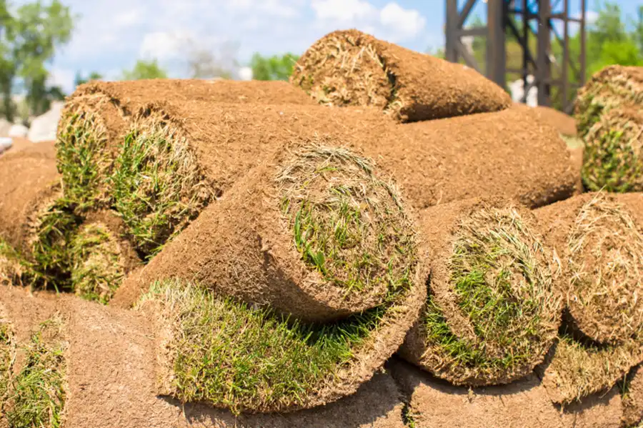 How Sod Installation Can Improve Your Propertys Value in Lubbock, TX How Sod Installation Can Improve Your Propertys Value in Lubbock, TX