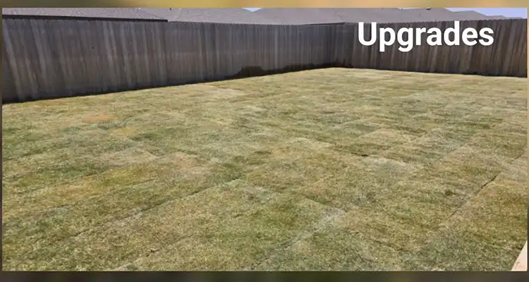 Sod Installation