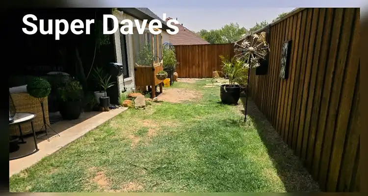 SuperDave'S Lawns and More's other services