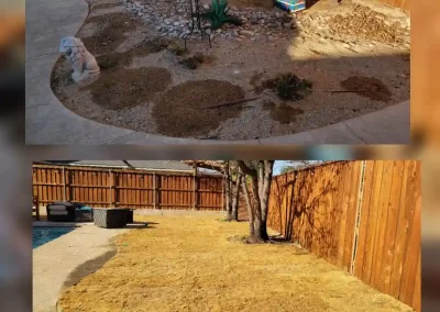 Affordable Landscaping