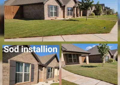 Affordable Landscaping