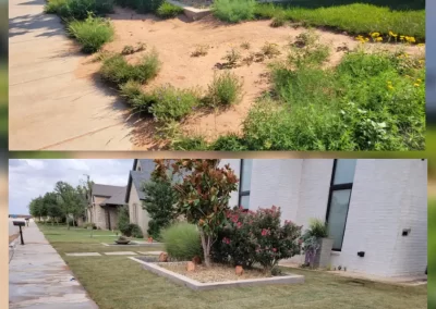 Affordable Landscaping