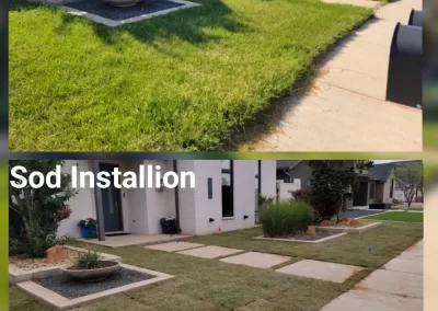 Affordable Landscaping