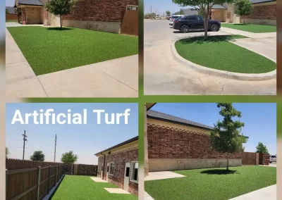 Skilled Landscape Designer